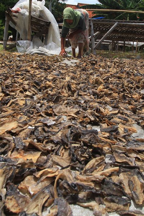 Kerupuk Kulit Tuna Antara Foto