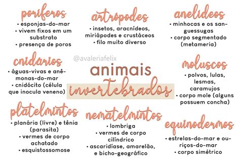 Mapas Mentais Sobre ANIMAIS INVERTEBRADOS Study Maps