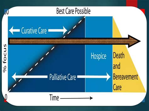 End Of Life Care | PPTX