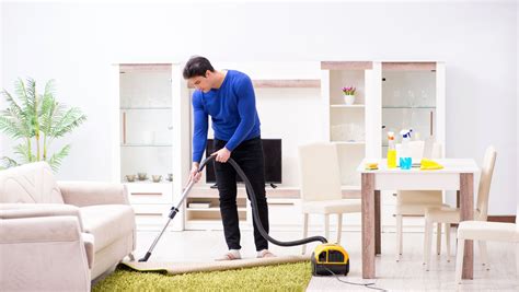 Shark Upright Vacuum Filters: Enhancing Cleaning Efficiency - Living Pristine