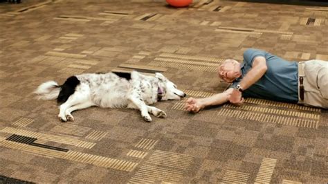 Chaser: Unlocking the Genius of the Dog Who Knows a Thousand Words ...