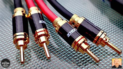 Ricable Invictus Speaker Cable And Balanced Analogue Cables Review