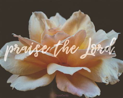 Praise the Lord Wallpaper - Free Flowers Desktop Backgrounds