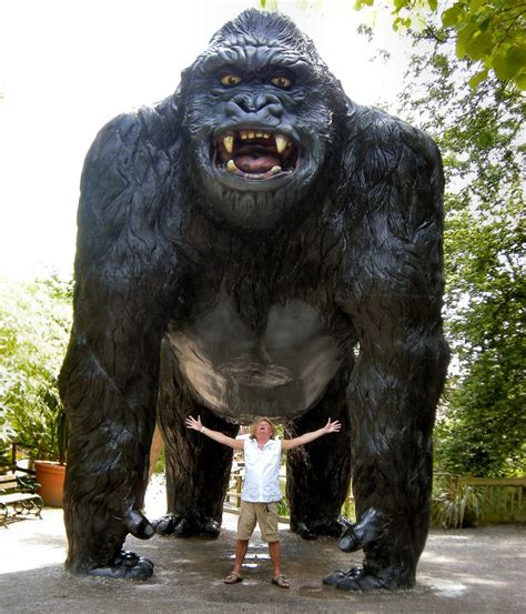 King Kong Hung Black Gay Porn Vvtipr