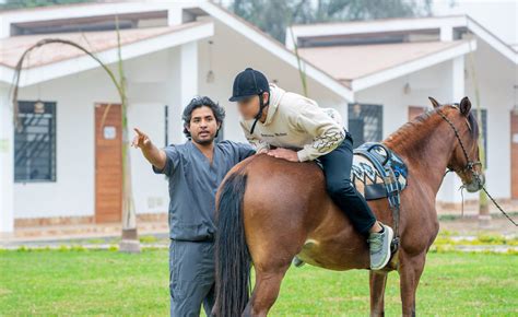 Equinoterapia Para Alcoholismo Y Adicciones