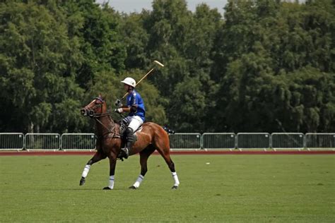 How Big Is A Polo Field Plus Some Interesting Facts