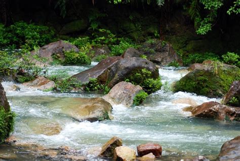 Rio Celeste Volcano Hike - Tenorio Costa Rica