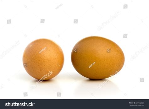 perspective images stock  vectors