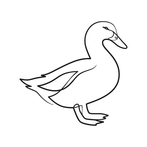 Premium Vector Duck Continuous Line Art Drawing