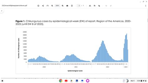 Chikungunya Outbreaks Accelerate And Turn Fatal Vax Before Travel