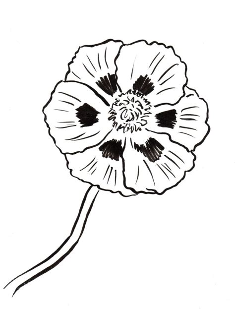 Red Poppy Coloring Page Coloring Pages