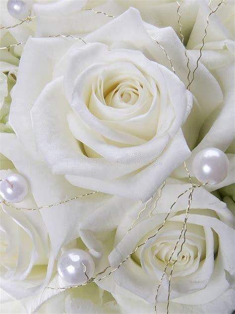 White Roses And Pearls Stock Photo Image Of Glamour Fresh 3874604