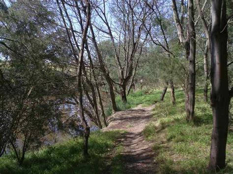 Tracks Trails And Coasts Near Melbourne The Yarra River Reserve