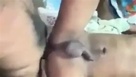 Free Indian Gay Anal Porn Videos XHamster