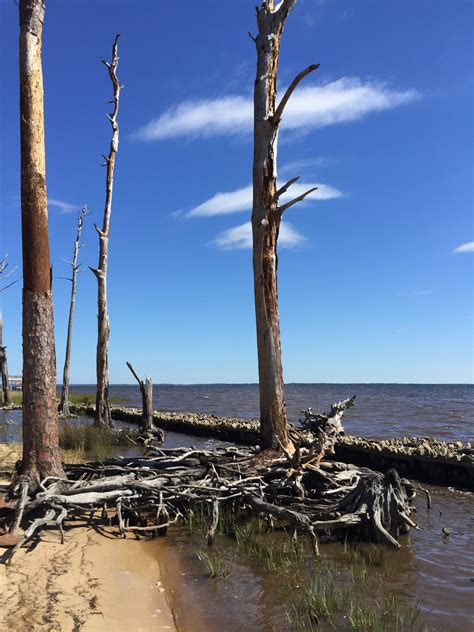 sea level rise | Panhandle Outdoors
