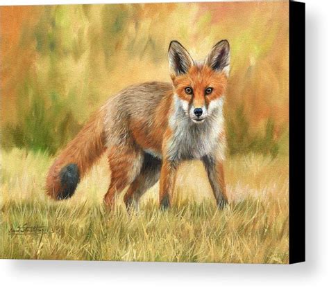 Red Fox Canvas Print Canvas Art By David Stribbling Red Fox Art