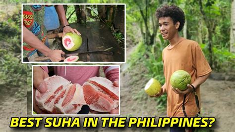 Suha Ng Mga Katutubong Aeta Ang Mura Peso Isa Youtube