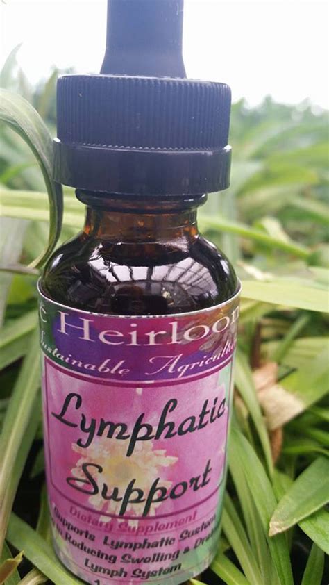 LYMPHATIC SUPPORT-Herbal Tincture-Herbal Remedy-Lymph System Balancing – Gods Herbs Heal