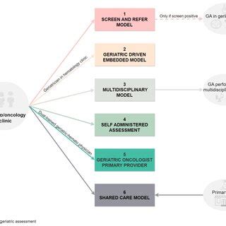 Comprehensive geriatric assessment spheres and tools. | Download ...