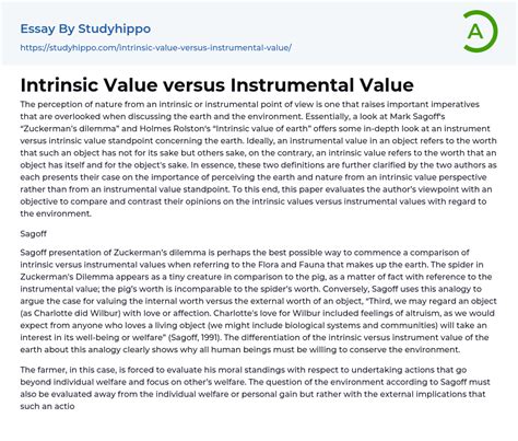 Intrinsic Value Versus Instrumental Value Essay Example