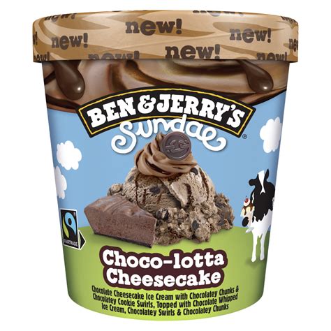 Ben Jerry S Pot De Cr Me Glac E Chocolat Cheesecake G Pas Cher