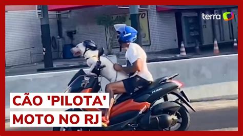 Cachorro Flagrado Pilotando Moto Em Avenida No Rio De Janeiro Youtube