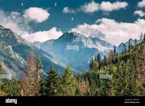 national tatra reserve  res stock photography  images alamy
