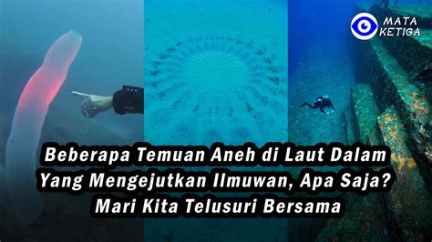 Rahasia Tersembunyi Di Bawah Laut 15 Temuan Aneh Di Laut Dalam Yang