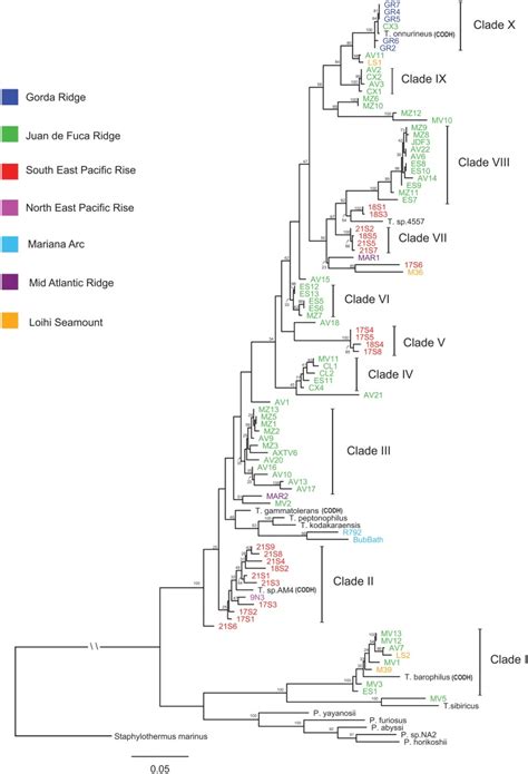 Biogeography and evolution of Thermococcus isolates from hydrothermal ... 