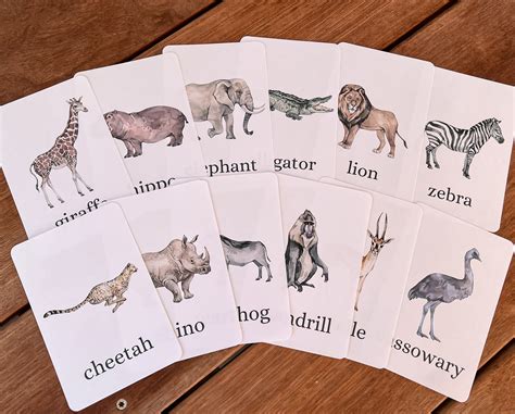 Printable African Animal Cards | Wild Republic Matching Cards