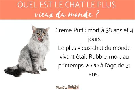 Quel Est Le Plus Vieux Chat Du Monde