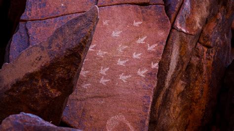 Explore Murujuga Rock Art Karratha Is Calling