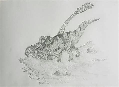 Velociraptor VS Protoceratops by AnnikaxDragon on DeviantArt