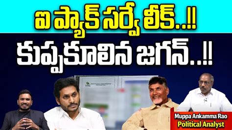 I Pack Survey Leaked Unexpected Shock To CM Jagan AP Politics AP