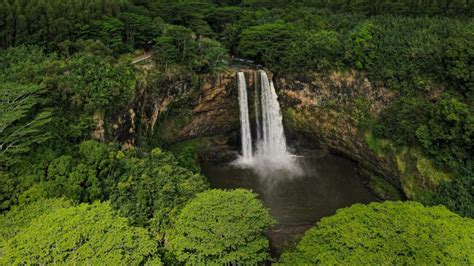 Green Noise: Nature's Soothing Sound for Relaxation and Focus