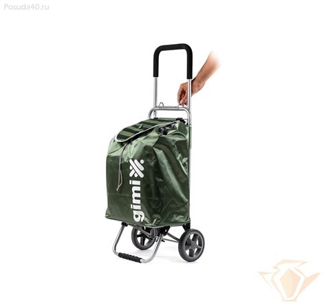 Сумка-тележка Gimi Flexi, 2 колеса, зелёная 1500327010000 – купить с ...