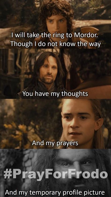 The best Frodo memes :) Memedroid