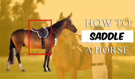 how to put a saddle on a horse on minecraft 7