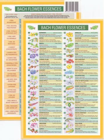 Bach Flower Remedies Mini Chart | Bach flower remedies, Flower remedy, Bach flowers