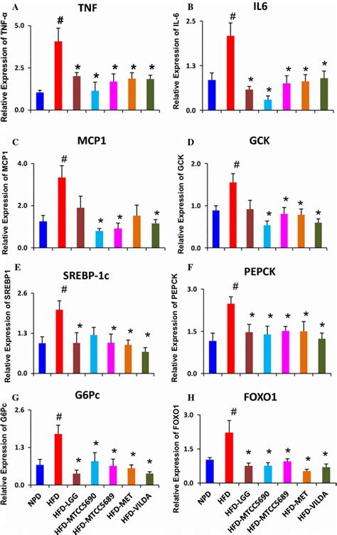 Transcriptional Levels Of Proinflammation Lipogenesis And