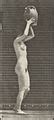 Category Nude Woman Stooping Lifting A Water Jar To Head And Turning