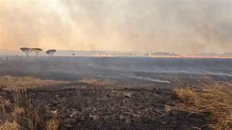 Incêndio consome 10 mil hectares na Chapada dos Veadeiros em Goiás