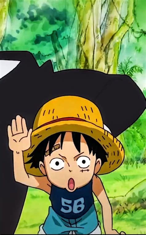 947 Wallpaper Luffy Cute Images & Pictures - MyWeb