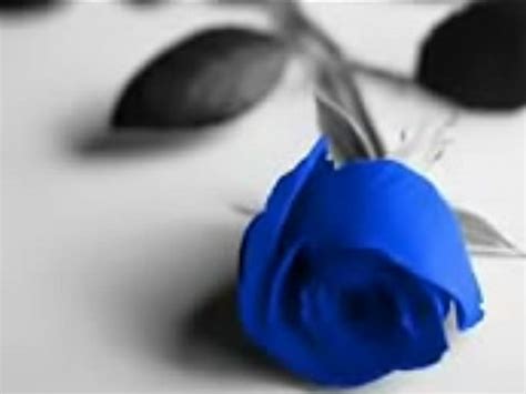 MICHAEL BOLTON Said I Loved You But I Lied SUBT XVIDEOS