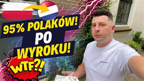 SKAZANY TO DO HOLANDII CZY SĄ TUTAJ NORMLANI OBALAMY MITY YouTube