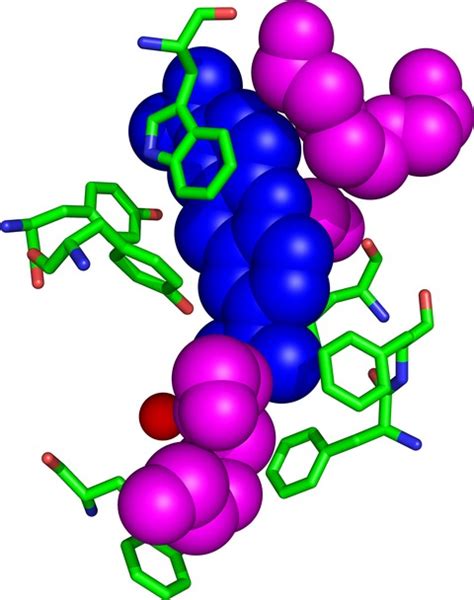 Acetylcholinesterase Chemical Structure