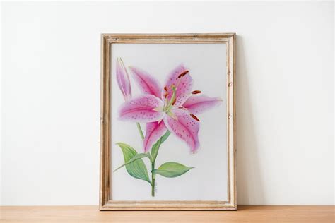 Stargazer Lily Giclée Print Watercolor Painting Botanical