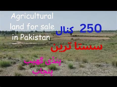 Agriculturel Land For Sale In Pakistan Cheap Land For Sale In Punjab