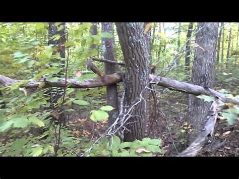 BIGFOOT 2015 New Discoveries in Sasquatch Habitat - YouTube