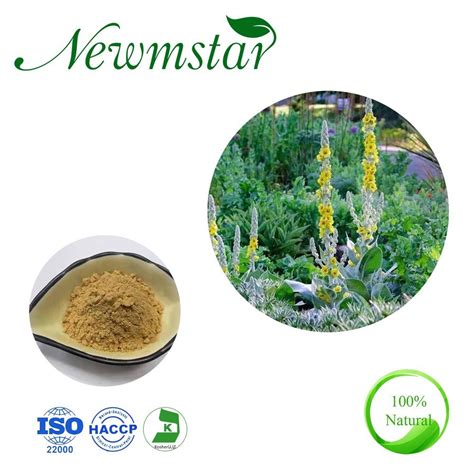 100% Natural Mullein Extract 10: 1 Yellow Brown Verbascum Thapsus ...